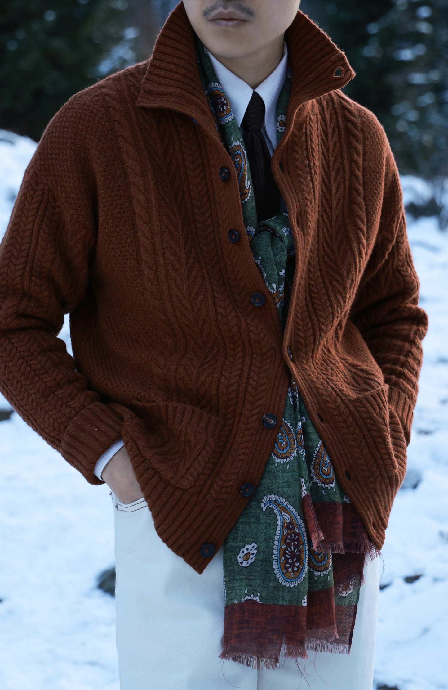 Aran-Cable Wool Cardigan High-Neck Sweater — Maple Red